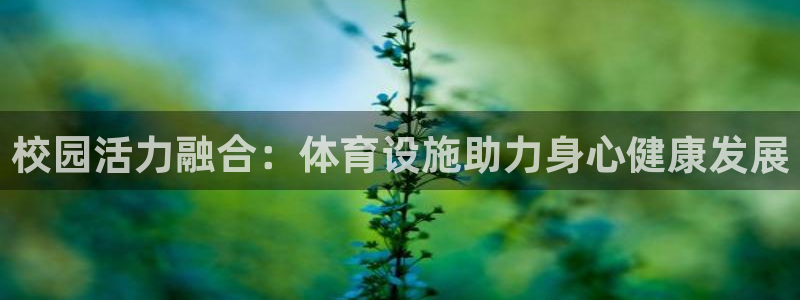 意昂平台体育：校园活力融合：体育设施助力身心健康发展