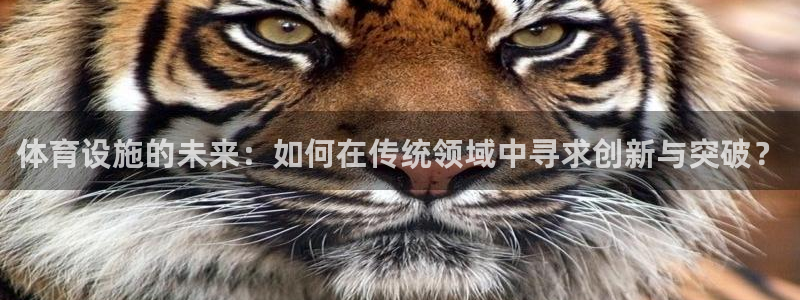 意昂4集团官网首页网址：体育设施的未来：如何在传统领