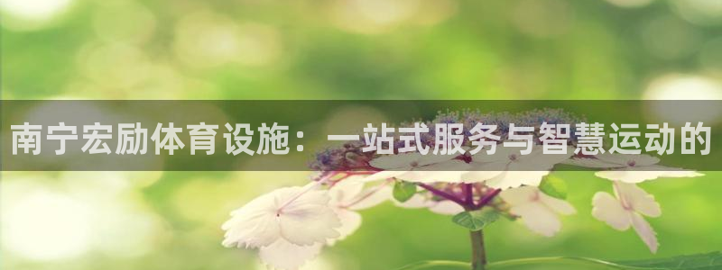 意昂4集团官网首页：南宁宏励体育设施：一站式服务与智