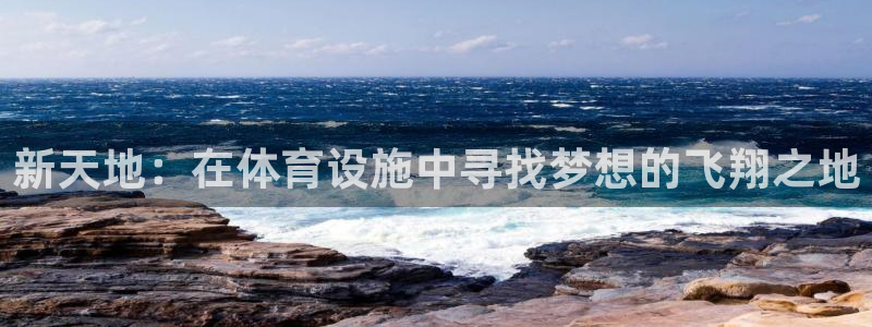 意昂体育4平台注册流程视频：新天地：在体育设施中寻找