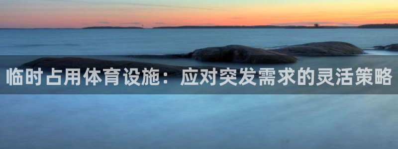 意昂体育4：临时占用体育设施：应对突发需求的灵活策略