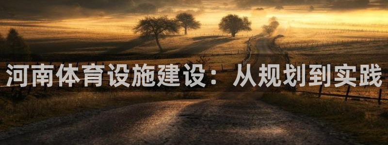 意昂4集团官网首页：河南体育设施建设：从规划到实践