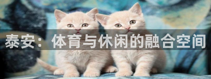 意昂体育4平台注册要钱吗安全吗：泰安：体育与休闲的融