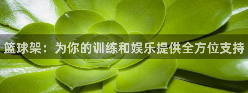 意昂体育4平台是正规平台吗知乎：篮球架：为你的训练和