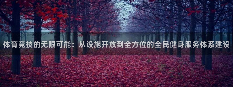 意昂4娱乐是那个系列的台子：体育竞技的无限可能：从设