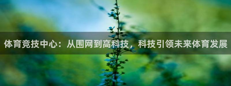 意昂4集团官网网址：体育竞技中心：从围网到高科技，科