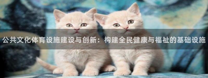意昂4娱乐代理怎么样：公共文化体育设施建设与创新：构建全民健