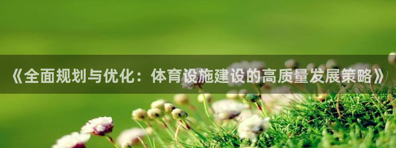 意昂体育4招商电话号码是多少啊：《全面规划与优化：体育设施建