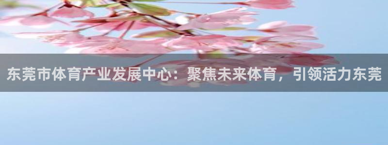 意昂体育4平台是正规平台吗安全吗：东莞市体育产业发展中心：聚