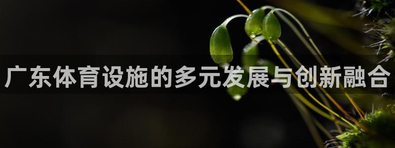 意昂体育4官方客服电话：广东体育设施的多元发展与创新融合