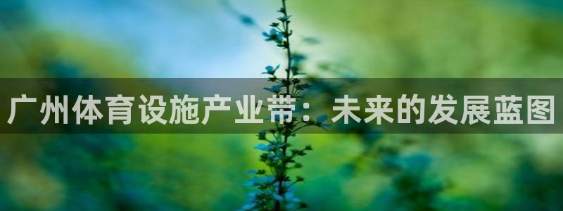 意昂体育4平台注册流程视频：广州体育设施产业带：未来