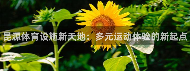 意昂4娱乐首页网站大全：昆源体育设施新天地：多元运动
