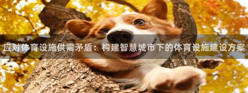 意昂体育4：应对体育设施供需矛盾：构建智慧城市下的体