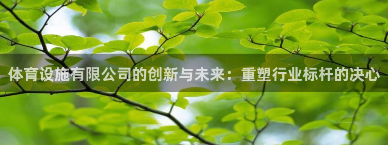 意昂4集团官网网址：体育设施有限公司的创新与未来：重