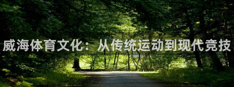 意昂集团官网：威海体育文化：从传统运动到现代竞技