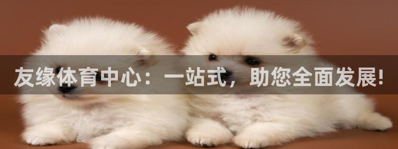 意昂体育4招商电话是多少啊：友缘体育中心：一站式，助