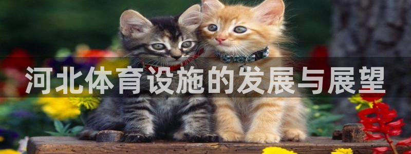 意昂4娱乐首页网站大全：河北体育设施的发展与展望