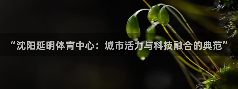 意昂体育4招商电话号码是多少啊：“沈阳延明体育中心：