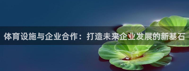意昂4娱乐代理怎么样：体育设施与企业合作：打造未来企