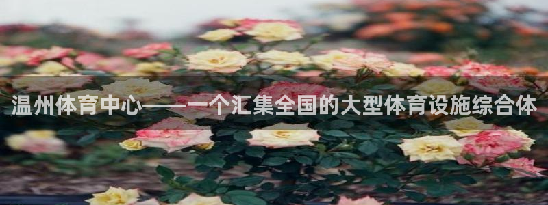 意昂体育4平台注册：温州体育中心——一个汇集全国的大