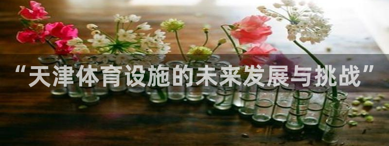 意昂体育4平台注册：“天津体育设施的未来发展与挑战”