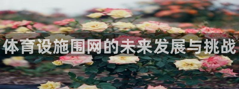意昂4神州：体育设施围网的未来发展与挑战