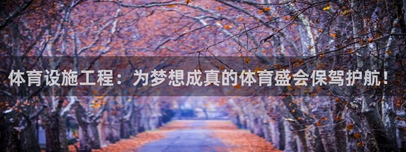 意昂体育4平台：体育设施工程：为梦想成真的体育盛会保