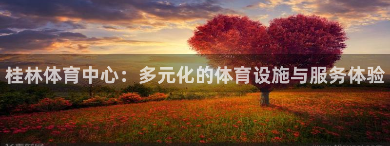 意昂体育4平台假的吗是真的吗：桂林体育中心：多元化的