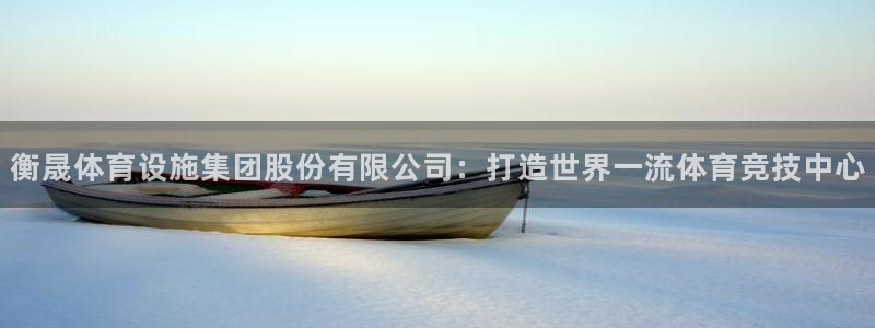 意昂平台体育：衡晟体育设施集团股份有限公司：打造世界