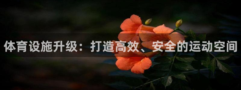 意昂体育4软件：体育设施升级：打造高效、安全的运动空