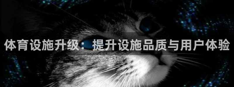 意昂体育4联系电话：体育设施升级：提升设施品质与用户