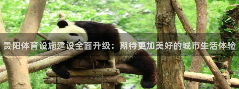 意昂体育4平台是正规平台吗知乎：贵阳体育设施建设全面