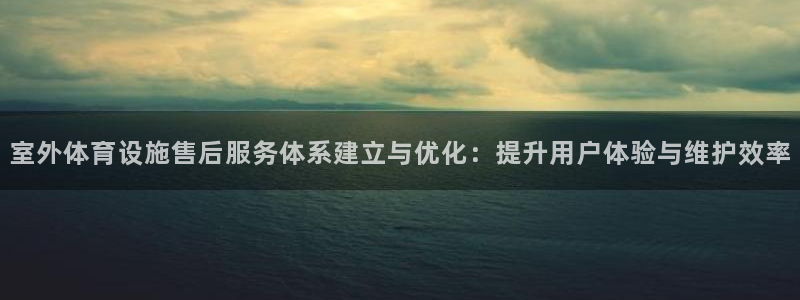意昂4娱乐下载：室外体育设施售后服务体系建立与优化：