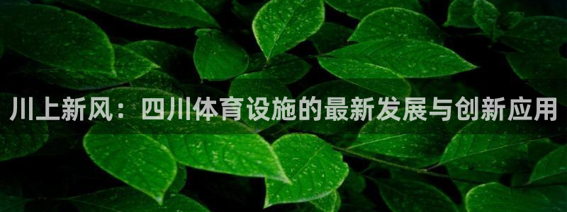 意昂4科技：川上新风：四川体育设施的最新发展与创新应