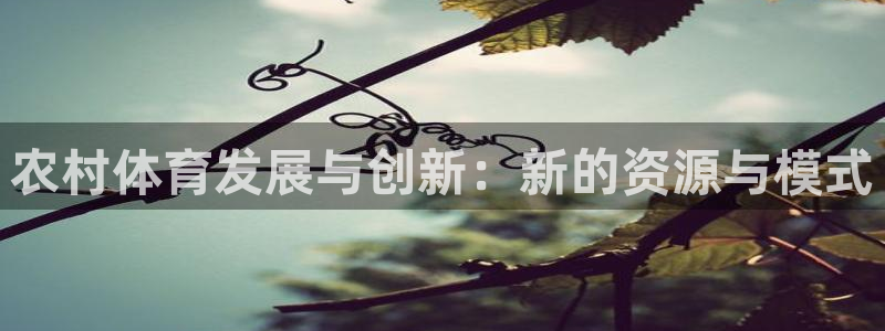 意昂体育4是干嘛的公司：农村体育发展与创新：新的资源