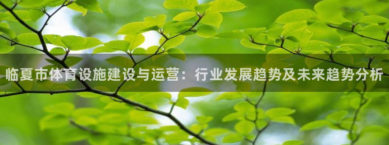 海南意昂体育4：临夏市体育设施建设与运营：行业发展趋