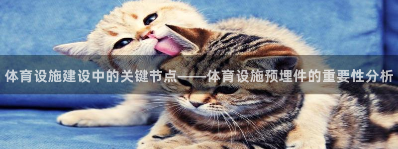 意昂4娱乐代理怎么样：体育设施建设中的关键节点——体