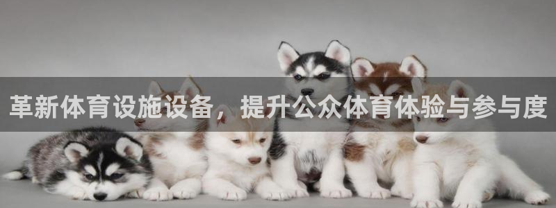 意昂4娱乐40996：革新体育设施设备，提升公众体育
