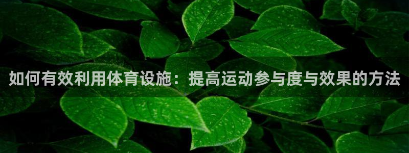 意昂体育4联系电话：如何有效利用体育设施：提高运动参