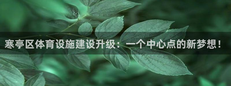 意昂体育4招商：寒亭区体育设施建设升级：一个中心点的