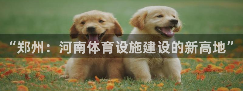意昂体育4招商电话地址查询：“郑州：河南体育设施建设