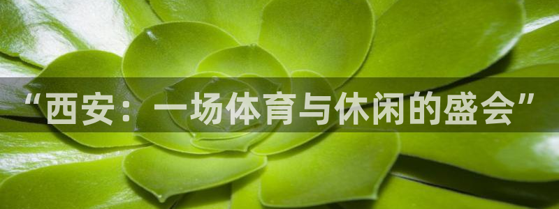 意昂体育4平台假的吗是真的吗：“西安：一场体育与休闲