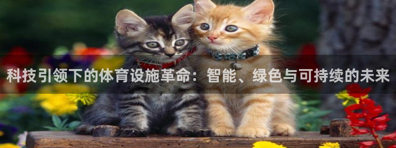 意昂集团官网：科技引领下的体育设施革命：智能、绿色与