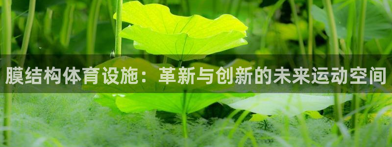 意昂体育4平台注册流程图：膜结构体育设施：革新与创新