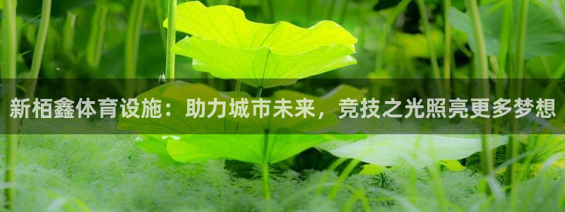 意昂体育4招商电话号码：新栢鑫体育设施：助力城市未来