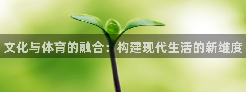意昂体育4招商电话地址是多少：文化与体育的融合：构建