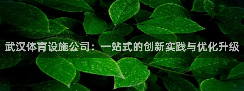 意昂4娱乐下载：武汉体育设施公司：一站式的创新实践与