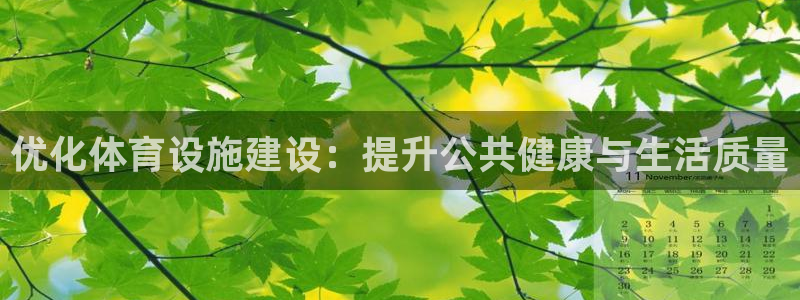 意昂4集团E.ON：优化体育设施建设：提升公共健康与