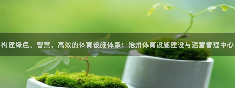 意昂体育4招商电话是多少号码：构建绿色、智慧、高效的