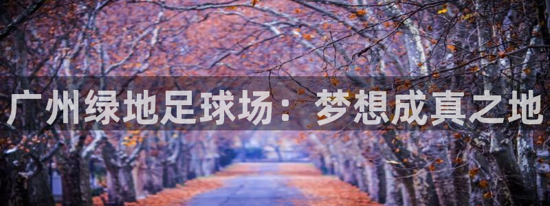意昂体育4平台是正规平台吗知乎：广州绿地足球场：梦想